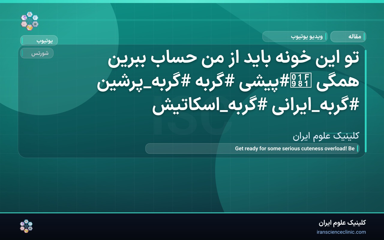 تو این خونه باید از من حساب ببرین همگی 🦁#پیشی #گربه #گربه_پرشین #گربه_ایرانی #گربه_اسکاتیش