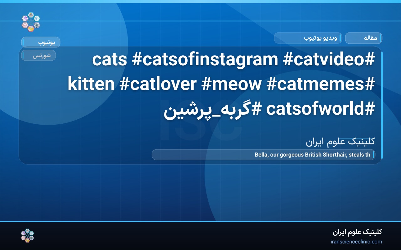 #cats   #catsofinstagram  #catvideo #kitten  #catlover  #meow  #catmemes   #catsofworld  #گربه_پرشین