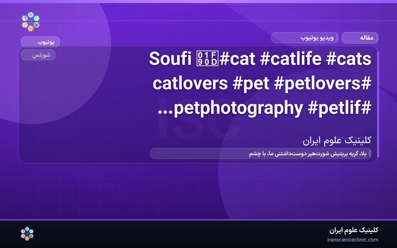 Soufi 🤍#cat #catlife #cats #catlovers #pet #petlovers #petphotography #petlife #pets_of_instagram