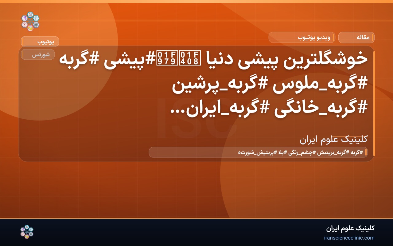 خوشگلترین پیشی دنیا 🐈🥹#پیشی #گربه #گربه_ملوس #گربه_پرشین #گربه_خانگی #گربه_ایرانی #گربه_زیبا #cat