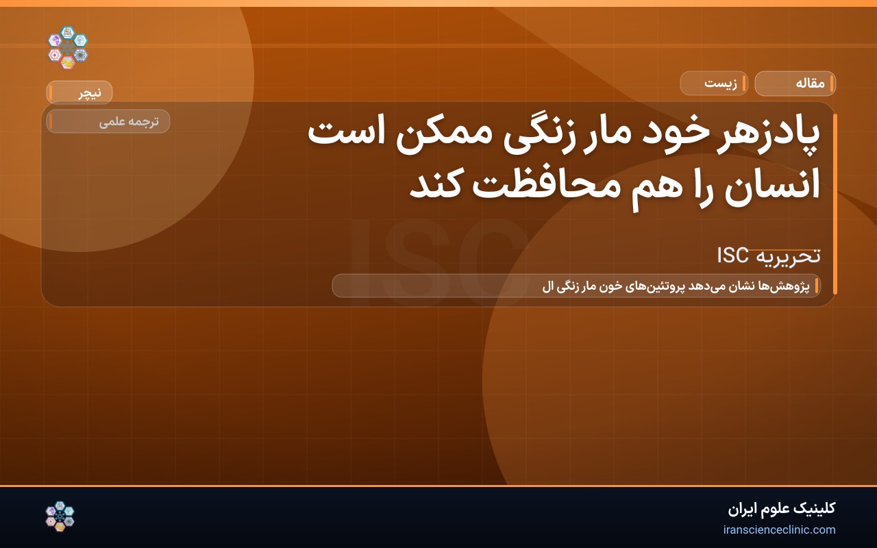 پادزهر خود مار زنگی ممکن است انسان را هم محافظت کند