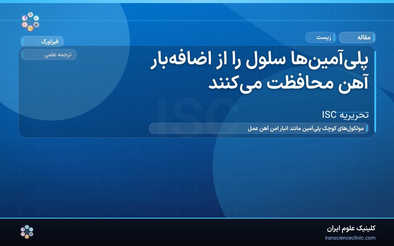 پلی‌آمین‌ها سلول را از اضافه‌بار آهن محافظت می‌کنند