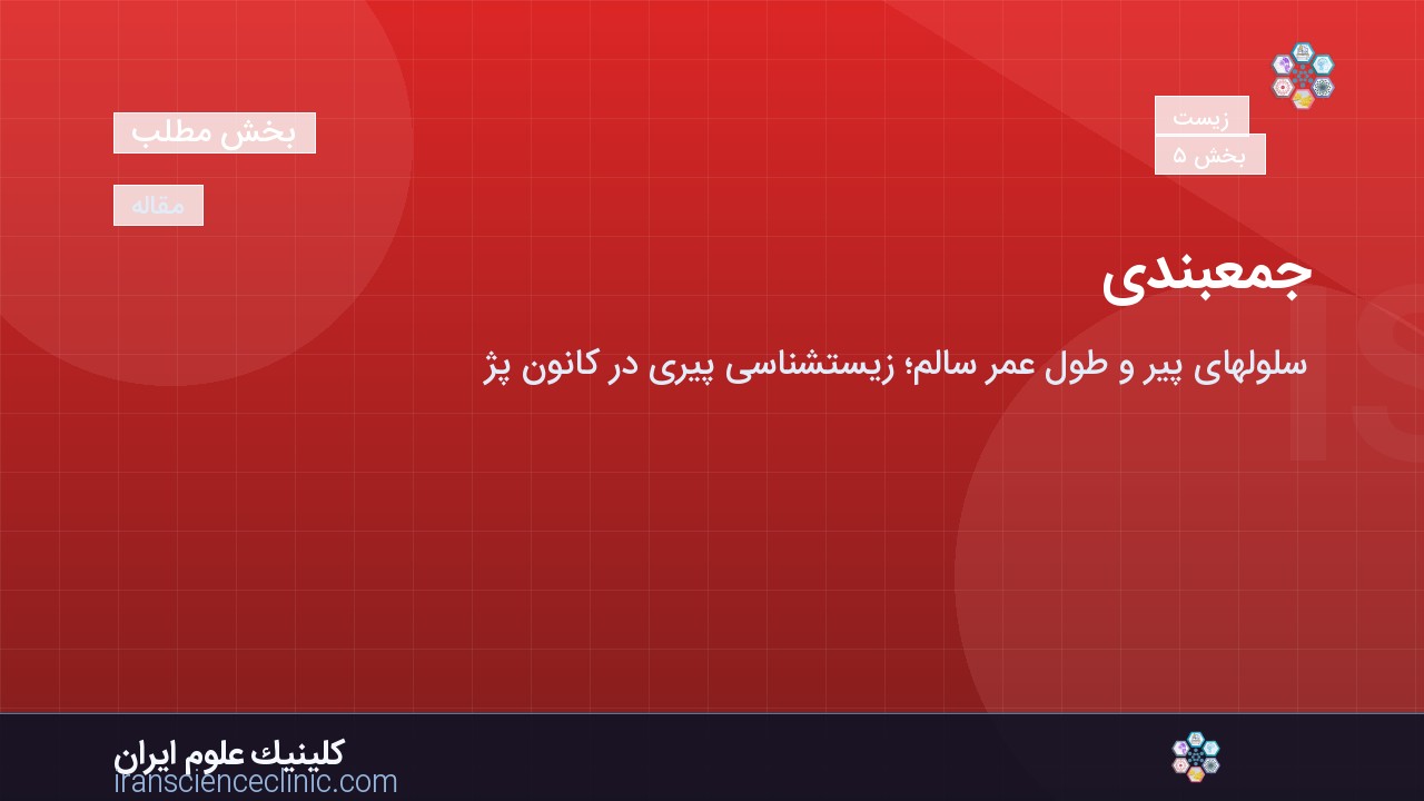 جمع‌بندی