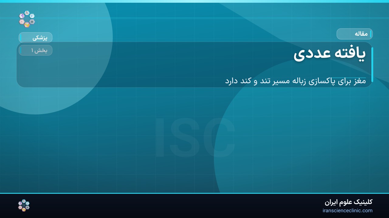 یافته عددی